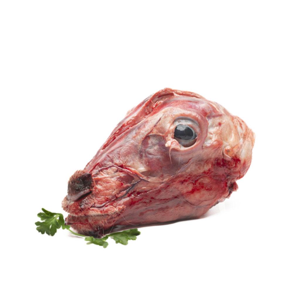 Cabeza de cordero